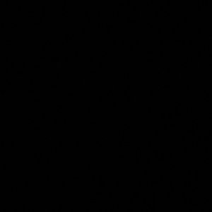 Meet your Posher, Kara